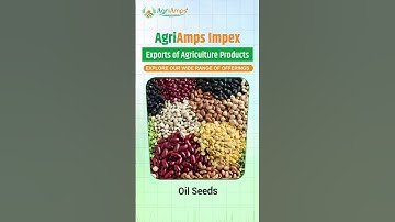 🌾𝐀𝐠𝐫𝐢𝐀𝐦𝐩𝐬 𝐈𝐦𝐩𝐞𝐱: 𝐘𝐨𝐮𝐫 𝐆𝐚𝐭𝐞𝐰𝐚𝐲 𝐭𝐨 𝐐𝐮𝐚𝐥𝐢𝐭𝐲 𝐀𝐠𝐫𝐢𝐜𝐮𝐥𝐭𝐮𝐫𝐚𝐥 𝐄𝐱𝐩𝐨𝐫𝐭𝐬🌾|Export Agricultural Products| WFI2024