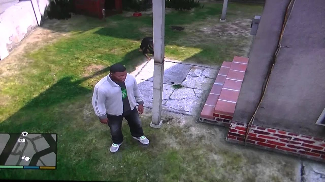 How To Take Chop For A Walk Ps4