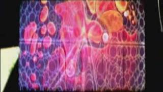 Trance Festivel 2006 Acid Lsd Astrix Infected Raja Dino Goa Astral Skazi Gms Space Hux Flux Vibe.wmv