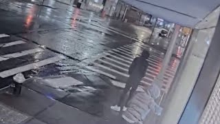 $242K of Hermes bags swiped in NYC smash and grab: NYPD