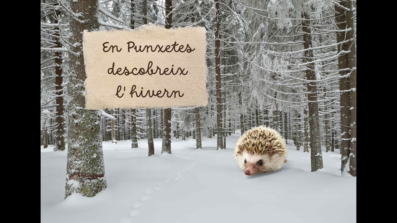 EN PUNXETES DESCOBREIX L'HIVERN