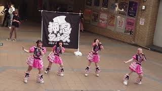 TIPINKIT(ティッピンクキット) 2026/4/25 押忍フェス in 湊町リバープレイス