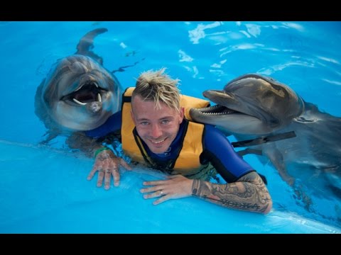Video: Det Här är Varför Jag är Glad Att Jag Aldrig Badade Med Delfiner