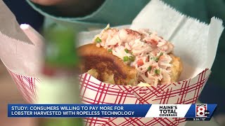 New study says consumers willing to pay more for lobster caught with rope     less technology