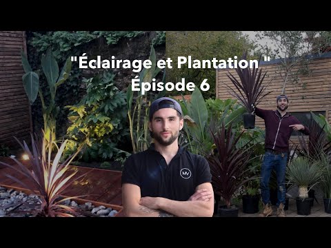 Je transforme un jardin "Éclairage et Plantation " Épisode 6 "Vacances à la maison"