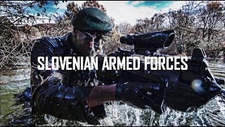 Slovenian Armed Forces 2017