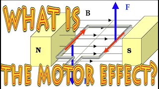 What is the motor effect?
