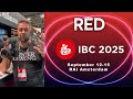IBC 2025 - RED удивили — новые broadcast-решения
