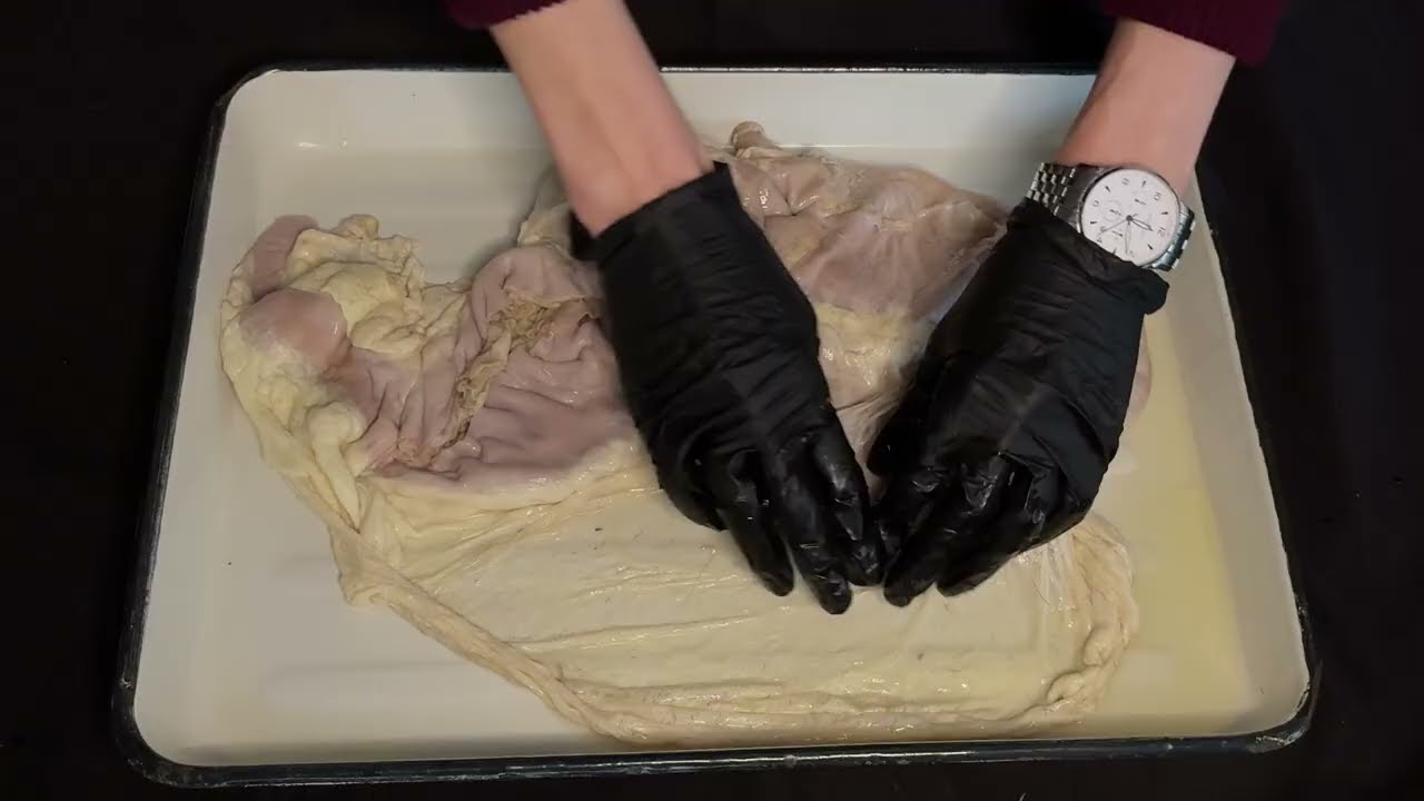 Многокамерный желудок крупного рогатого скота