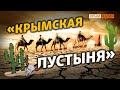 Канал в Крыму не сможет принять воду? | Крым.Реалии ТВ