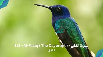 113 Al Falaq The Daybreak سورة الفلق - আল ফালাক্ব