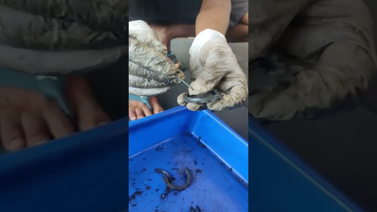 Derailleur Pulleys cleaned|Get the slack out from your Drivetrain| 