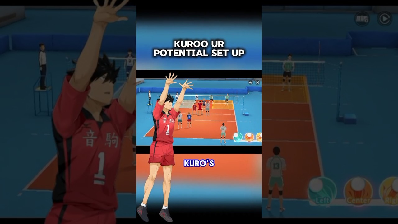 KURO POTENTIAL SET UP 
