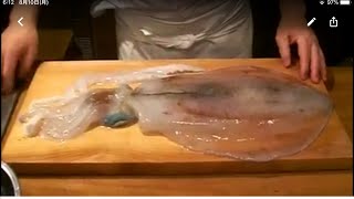 《アオリイカ(ミズイカ)のさばき方、2013 (1)》・・・・大和の 和の料理《 魚のさばき方》
