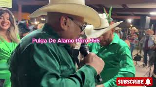 Bailando En La Pulga De Palmview TX / Dancing with the flea market stars!