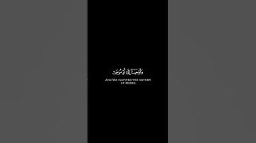 وأوحينا إلى أمّ موسى | سورة القصص | ياسر الدوسري | كروما قرآن - شاشة سوداء. #quran