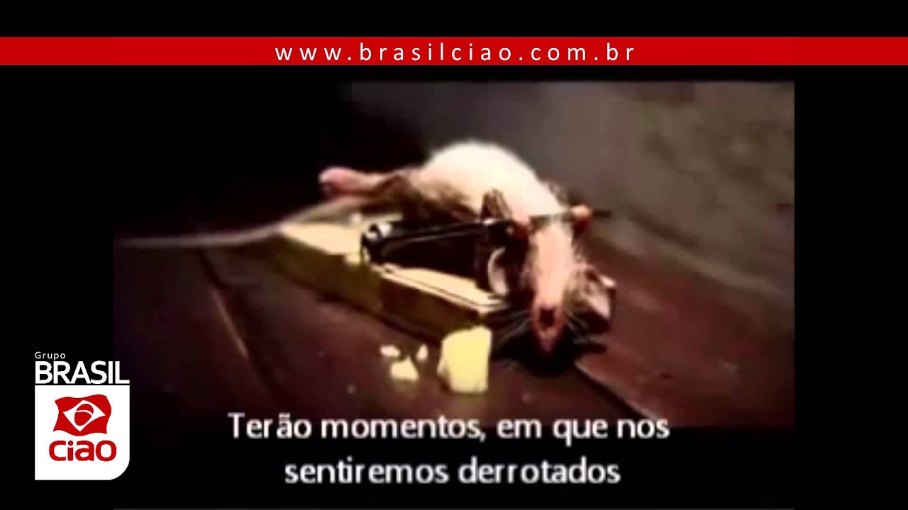 BrasilCiao - Fortaleça-se com suas adversidades - Ciao Telecom - CSN - Motivacional