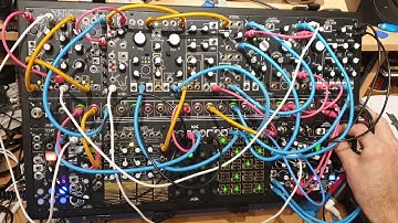Make Noise b&g shared system Ambient - Jungle