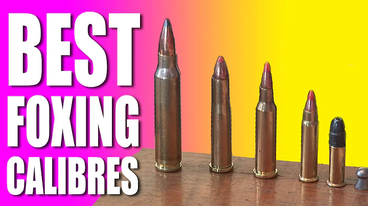 Best foxshooting calibres