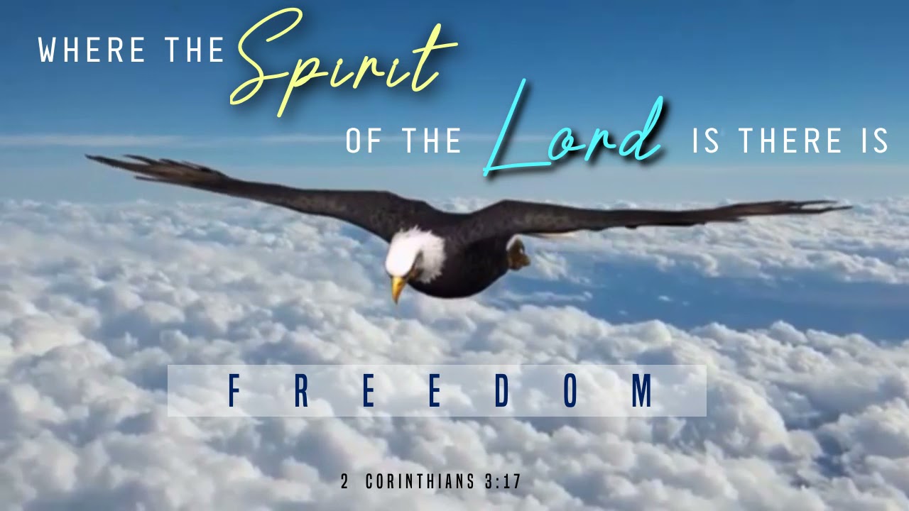 Bible Verse Whatsapp Status