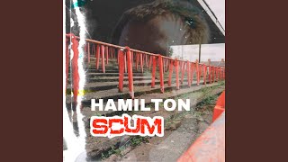 Video thumbnail of "DECLAN SWANS - Hamilton Scum"