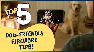 Top Tips to Keep Your Dog Calm & Safe During Fireworks