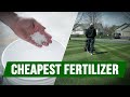 Cheapest fertilizer for your lawn  back yard update