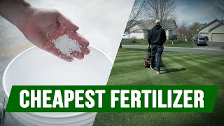 Cheapest Fertilizer For Your Lawn + Back Yard Update!