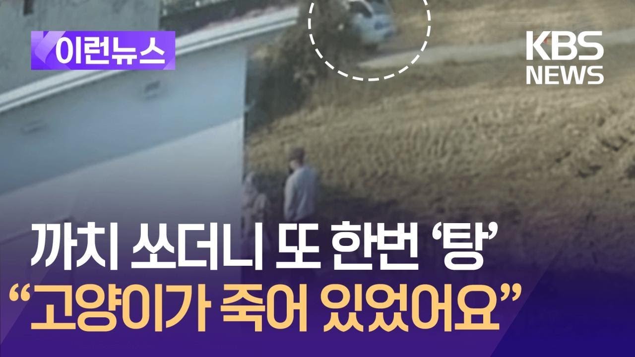 [이런뉴스] 잡은 까치 물어갈까 고양이도 쐈나…‘유해조수’가 뭐길래 / KBS 2025.02.11.