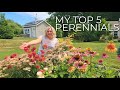 My top 5 longest blooming perennials for sun and a bonus perrenials