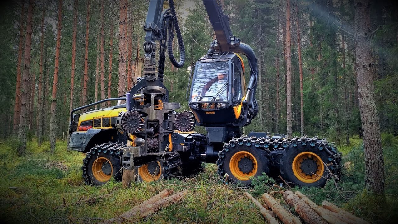 PONSSE Scorpion, männikön harvennusta.🤩💪🏻🍂