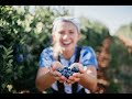 88 days Farm Work Australia - Should You Blueberry Pick?