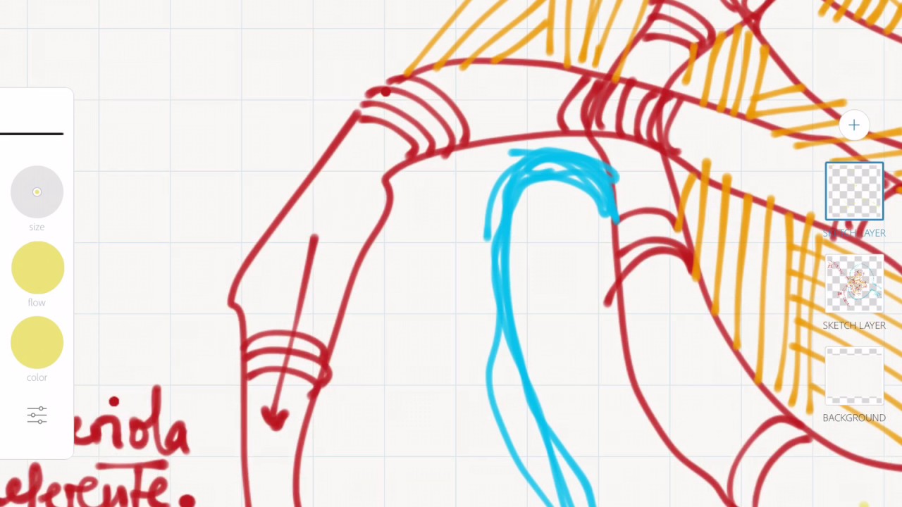 Insuficiencia renal, parte 1: El glomérulo y el filtrado glomerular