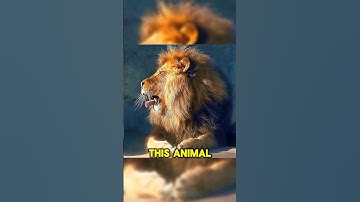 Frozen solid… but still alive! #GuessTheAnimal #WoodFrog #FrozenLife #WildSurvival #TailTaleFacts