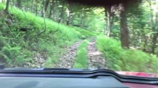RZR 1st Time riding Buchanan State Forest, PA