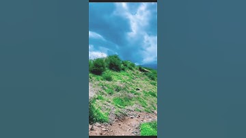 تلاوة من الذكر الحكيم #سورة الإسراء 🕋🕌