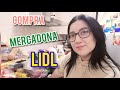 Compra semanal Mercadona&Lidl