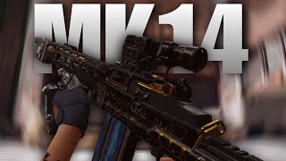 Destroying TV station with Mk14 | Arena Breakout