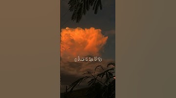 تلاوة عذبة سورة الكافرون الشيخ أحمد العجمي ..#quran #القرآن_الكريم #تلاوات #احمد_العجمي #السعودية