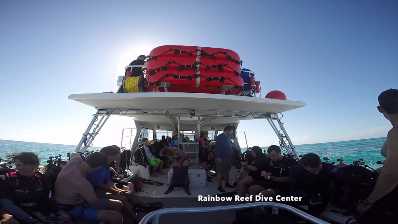 Flip Day A busy day at Rainbow Reef Dive Center Key Largo FL YouTube