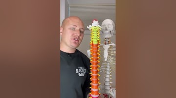 The Difference Between Hyperextension and Hyperflexion