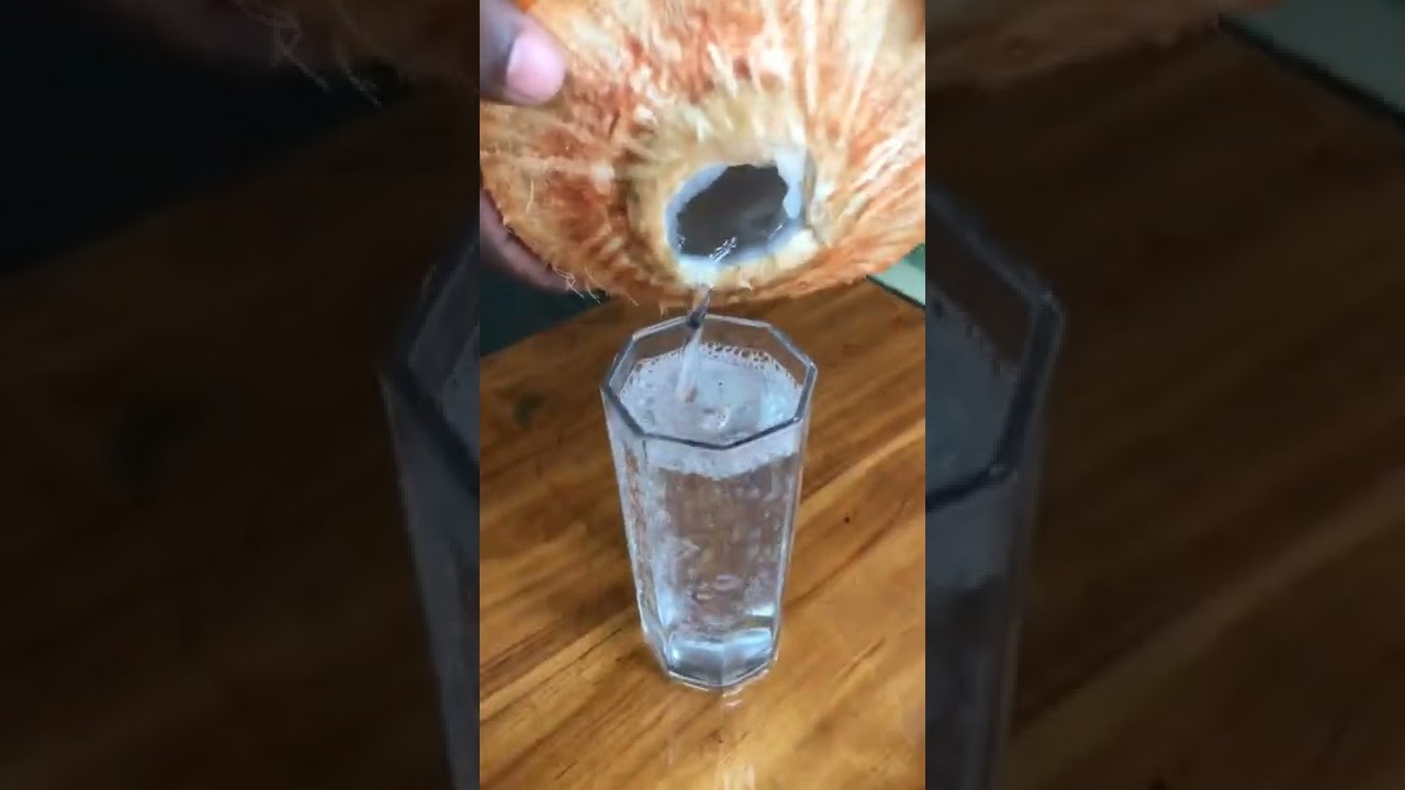 Delicious king coconut drink | from Pegiro Cook 