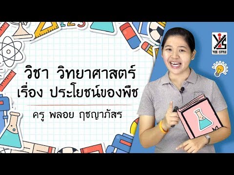 วีดีโอ: พืชมีประโยชน์ต่อมนุษย์อย่างไร?