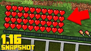 This 1.16 Snapshot just Changed Everything