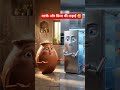 daily Life and science facts#ytshorts #youtubeshorts #viralshorts #aicartoons #animationhindi