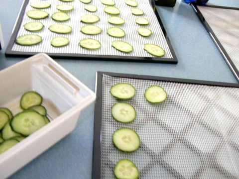 making-zucchini-crisps-in-my-excalibur-food-dehydrator--efooddehydrator.com!