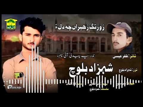 New Balochi HD Song  ZURTAG ZAHERAN MANA CHA DILA  SHEHZAD BALOCH  Washmallay Classic