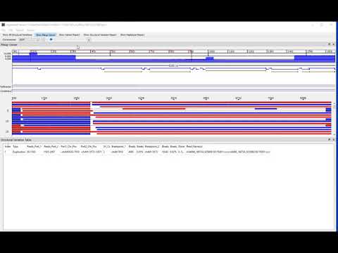 NextGENeLR Software for Long Read Sequencing Data