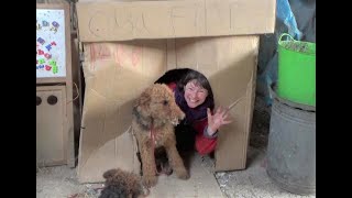 Fabulous Passive Family Eco-House – made from 100% free and recycled materials!