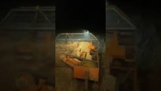 Başak 2075 Gece 1De Balya Performansı